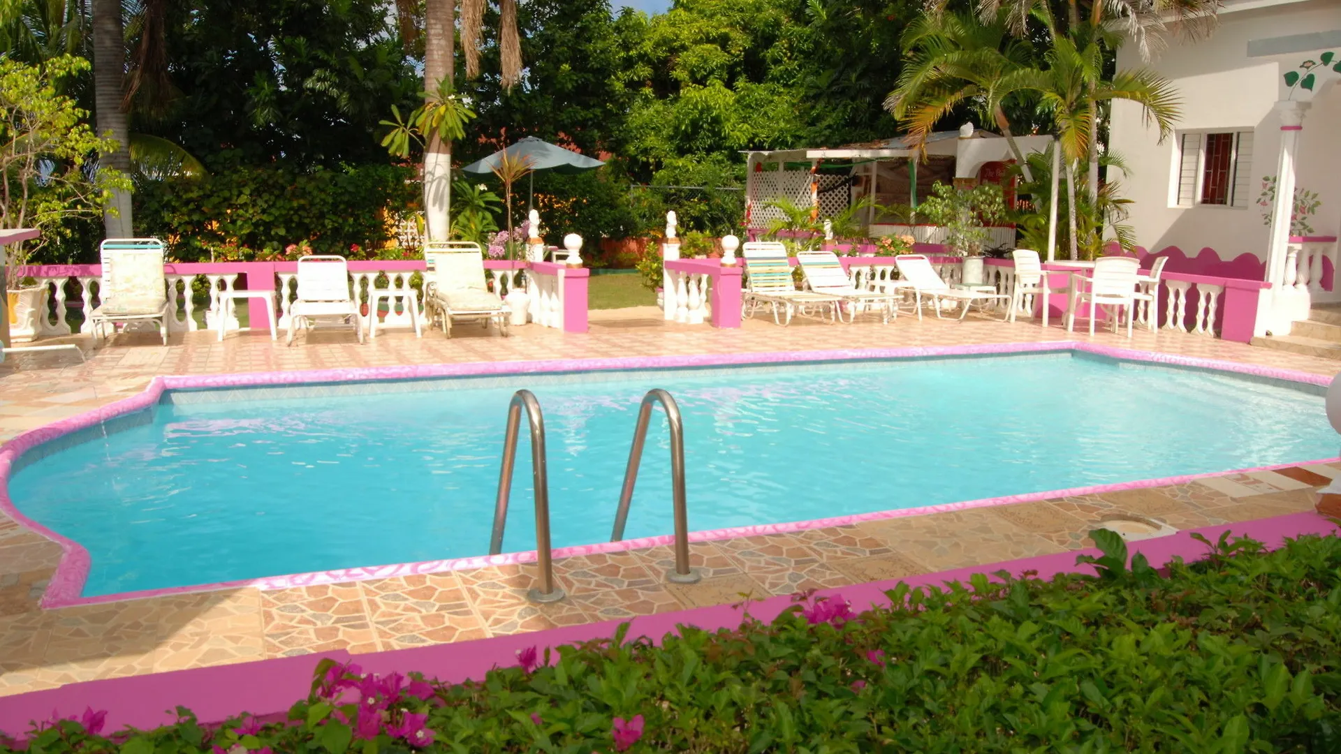 Pinkhibiscus Guest House Montego Bay