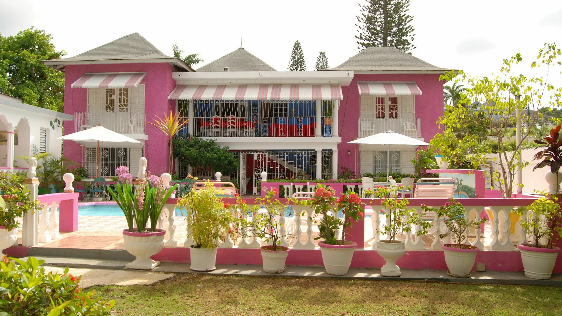Pinkhibiscus Guest House Montego Bay