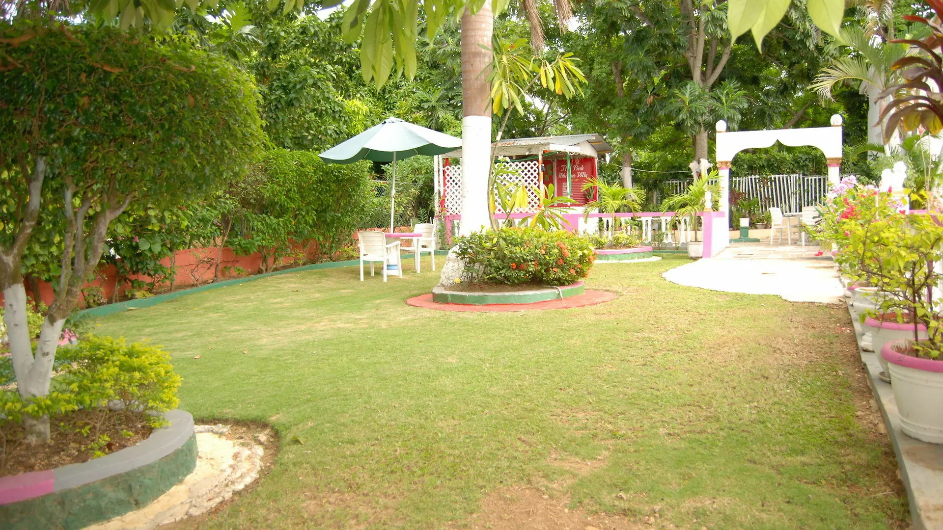 Pinkhibiscus Guest House Montego Bay
