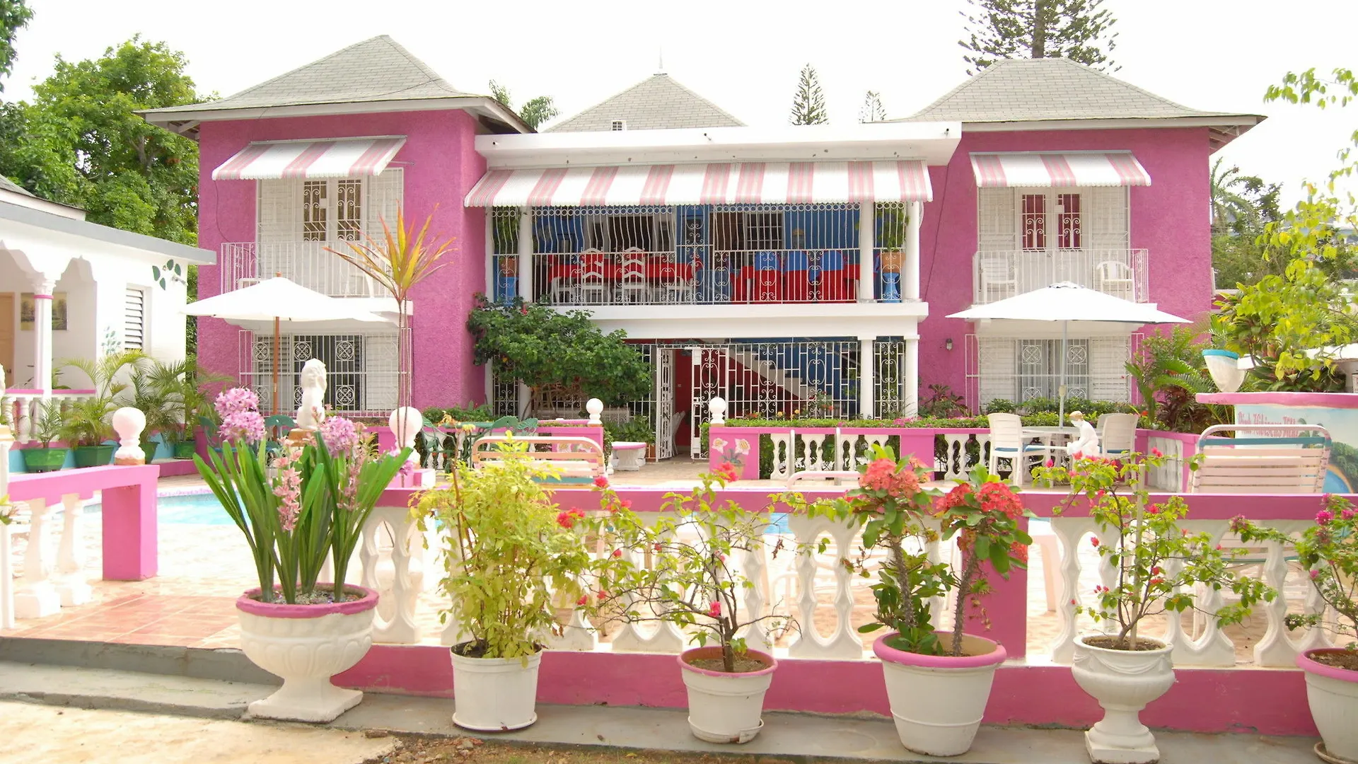 Pinkhibiscus Guest House Montego Bay 3*,  Jamaica